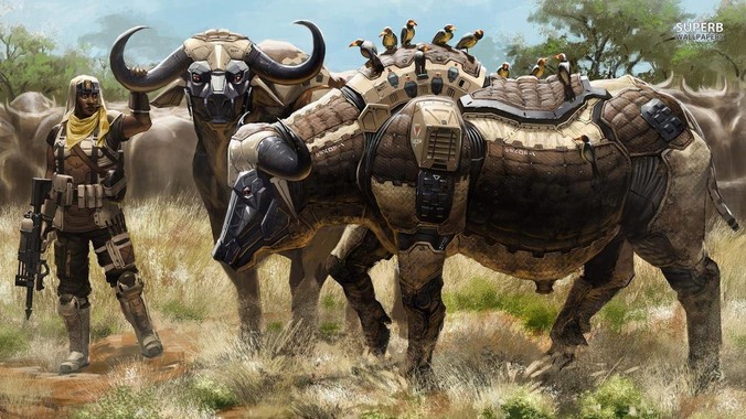 笨、傻、蠢有什么区别？